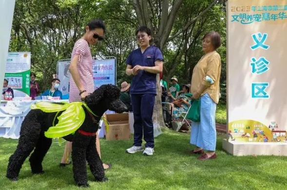 2023 Shanghai Pet Care Action and One Yuan Stray Cat Neutering Project